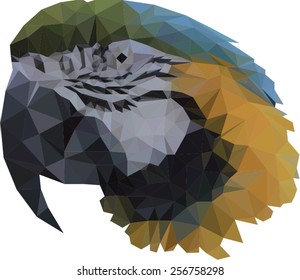 Macaw Polygon Style