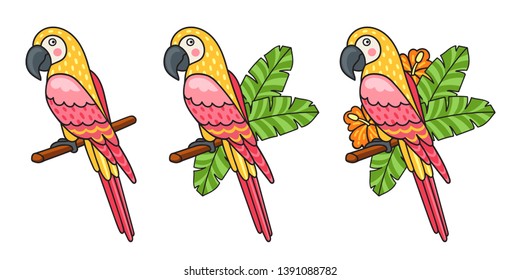 Macaw. Set of beautiful colorful parrots, surrounded tropical leaves and flowers. Vector illustration.