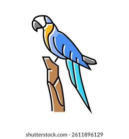 macaw sitting parrot bird color icon vector. macaw sitting parrot bird sign. isolated symbol illustration