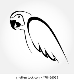 Macaw sketch. Parrot elegant design vector. Hand drawn stylized bird illustration.