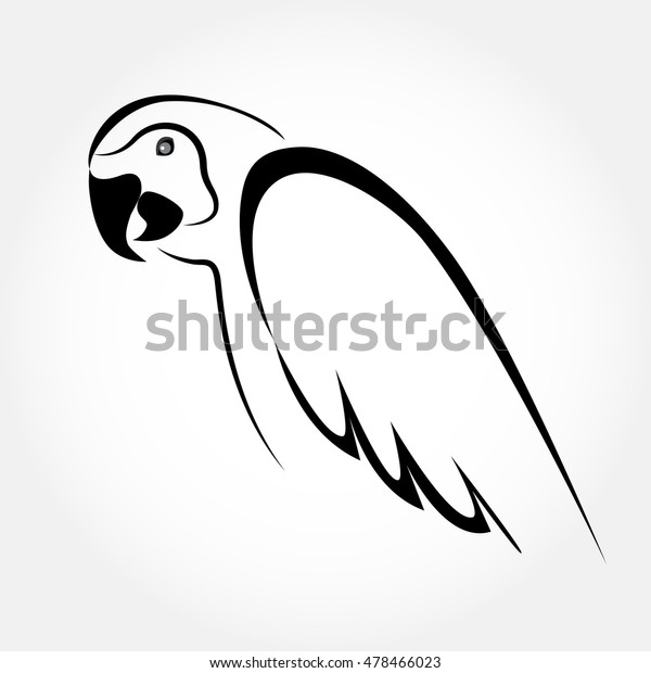 Macaw Sketch Parrot Elegant Design Vector Stock Vector (Royalty Free ...