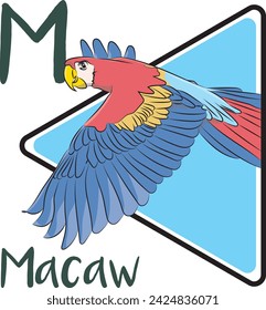 Macaws are highly intelligent, mate for life, and can live up to 60 years. There are at least 17 species of macaws, and several are endangered. Both male and female macaws look alike.