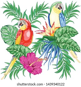 Macaws Parrots Exotic Birds on Tropical Flowers and Leaves Vector Illustration 
