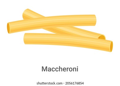 Maccheroni.Pasta, pasta made of durum flour isolated on a white background.Vector image of dough products.For labels, menus and posters.
