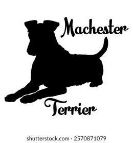 Machester Terrier dog silhouette, dog breeds, logo, vector, silhouette,  animal, illustration, icon, sign, design, black, symbol, pet, love
