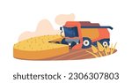 Machine Harvesting Wheat On Field. Efficient Mechanized Process Using Specialized Equipment To Gather Ripe Wheat Crops