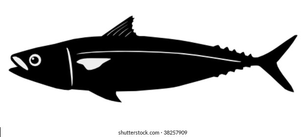 mackerel