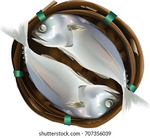 Mackerel in basket on white background