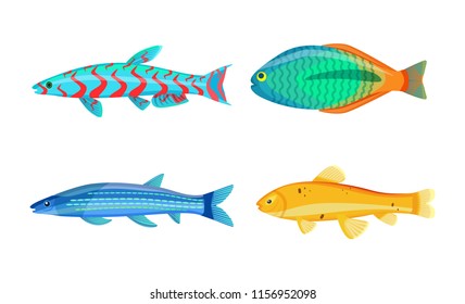 Mackerel blue fish and zebra mbuna set. Marine aquatic organisms with mouth, eyes and gills. Underwater creatures isolated on vector illustration