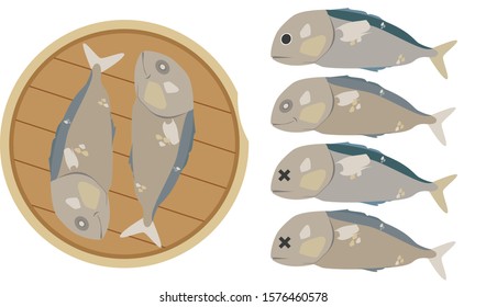 Mackerel is a common name applied to a number of different species of pelagic fish.They are found in both temperate and tropical seas, mostly living along the coast