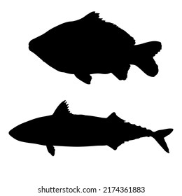 Mackerel fish and carp black silhouette.