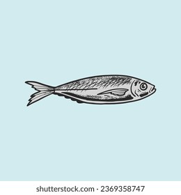 mackerel fish hand drawn vector illustration