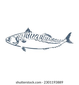 Ilustración de arte de la línea de pescado de caballa sobre fondo blanco.