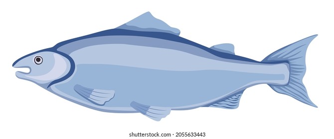 Mackerel Fish, Scomber Saltwater Creature, Fish Species. Fishing Club, Raw Seafood Restaurant or Fishery Market Emblem, Underwater Animal Isolated on White Background. Cartoon Vector Illustration