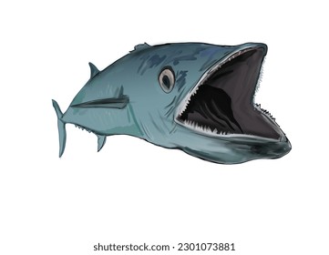 Mackerel fish that is opening his mouth with a white background