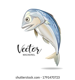 Mackerel fish vector, popular food in thailand isolated on white background, illustration