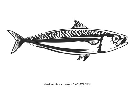 Mackerel fishing logo. Mackerel fish restaurant menu emblem. Fishing theme illustration. Isolated on white.