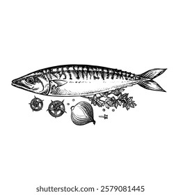 Mackerel with herbs and vegetables. A hand-drawn vector graphic illustration. Black and white image of seafood. Separate from the background. For menus, recipe books, packages, labels, invitations.