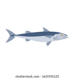 The mackerel is isolated on the white background.