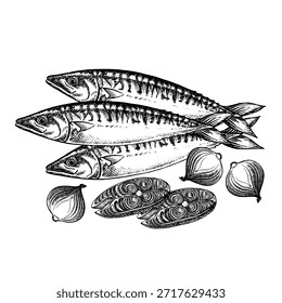 Mackerel with onions. Hand-drawn vector illustration. Black and white image of a fish dish. On a white background. For menus, recipe books, packaging, labels, and invitations.