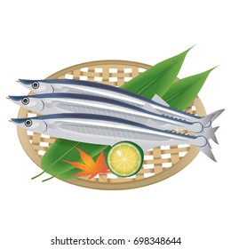 mackerel pike Illustration for autumn in Japan
