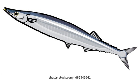 mackerel pike Illustration with brush strokes