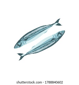 Mackerel, saury, herring fresh sea fish. Delicious seafood menu, fish market design. Organic natural healthy nutritious food cartoon vector illustration isolated on white background