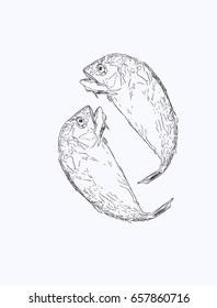 Mackerel, vector sketch illustration