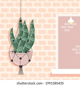 macrame hanger decorative in wall