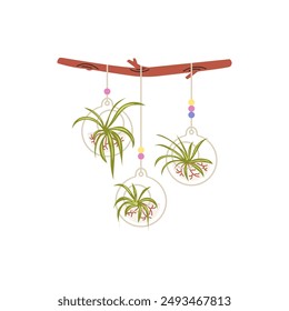 Macrame hangers for plants growing in pots on a wooden stick. Houseplant hang on rope, decorative indoor plants. Macrame aloe flower pots decoration. Vector flat illustration isolated