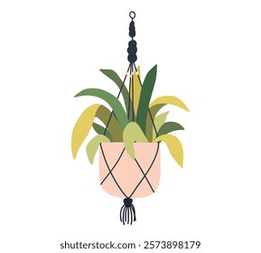 Macrame hanging plant in pot. Garden house indoor hanger flowerpot. Hanging home plant for interior decor. Vector flat illustration