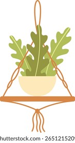 Macrame plant hanger holding a beige pot with a plant with large green leaves hanging from a thread, creating a cozy and stylish home decoration
