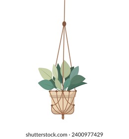 Macrame plant hanger with house plant isolated on white background. Vector illustration