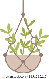 Macrame plant hanger showcasing a small green plant, enhancing home decor and bringing a refreshing touch of nature into any living space or room design