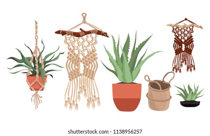 Macrame plant hangers in scandinavian interior. Vector stylish elements design. Great for gardening magazines , flower store or home poster. Vector illustration.