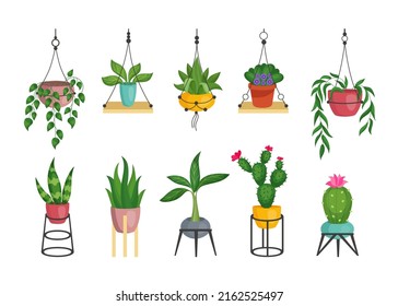 Macrame plant pots. Handmade rope holder for succulent flowerpot. Houseplants with green leaves and blossoms in cartoon style. Home garden collection. Flat vector potted flowers set