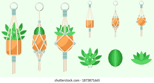 Macrame plants set. Flat vector illustrations of house plants in hanging pots.