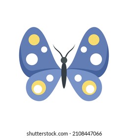 Macro butterfly icon. Flat illustration of macro butterfly vector icon isolated on white background