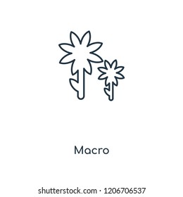 Macro concept line icon. Linear Macro concept outline symbol design. This simple element illustration can be used for web and mobile UI/UX.