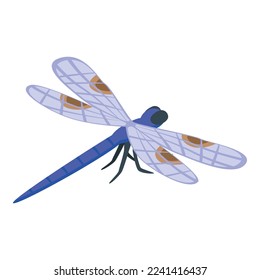 Macro dragonfly icon isometric vector. Wing insect. Flying cute