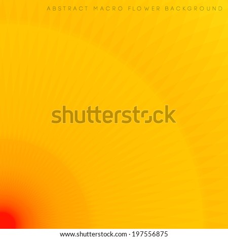Similar – Image, Stock Photo Design in Petal Macro with Curves and Lines in Cactus Flower