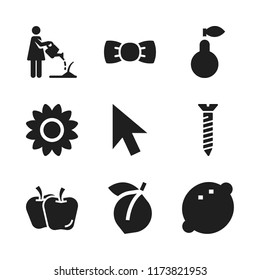 macro icon. 9 macro vector icons set. apricot, sunflower and pear icons for web and design about macro theme