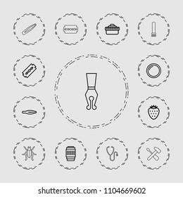 Macro icon. collection of 13 macro outline icons such as razor, tweezers, camera lense, strawberry, beetle, ink pen, stethoscope. editable macro icons for web and mobile.