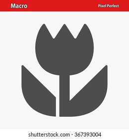 Macro Icon. Professional, pixel perfect icons optimized for both large and small resolutions. EPS 8 format.