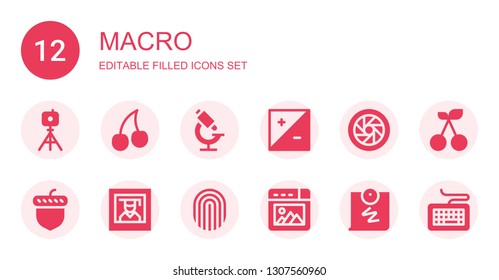macro icon set. Collection of 12 filled macro icons included Tripod, Cherry, Microscope, Exposure, Shutter, Acorn, Photography, Fingerprint, Picture, Push pin, Keyboard