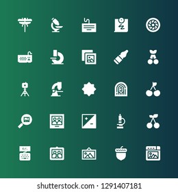 macro icon set. Collection of 25 filled macro icons included Picture, Acorn, Keyboard, Cherry, Microscope, Exposure, Fingerprint, Night mode, Tripod, Vials, Pictures, Shutter