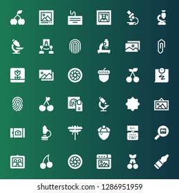 macro icon set. Collection of 36 filled macro icons included Vials, Cherry, Picture, Shutter, Keyboard, Acorn, Dragon fly, Microscope, Night mode, Fingerprint, Push pin, Photography