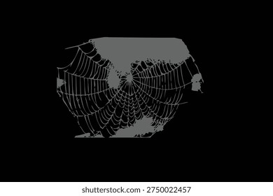 A macro illustration of a wet spider web with dew drops forming a natural pattern in the dark morning nature