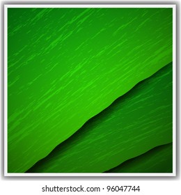 Macro Leaf.Vector eps 10
