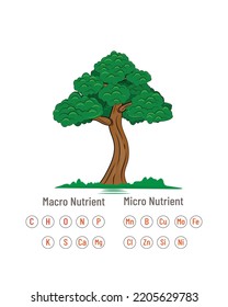 Macro And Micro Elements, Nutrients For Plant Growth